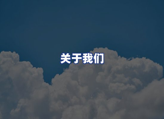 专业团队